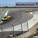 IMG_0383(1) (May 11, 2025)